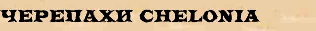 Черепахи (Chelonia) статья в универсальной энциклопедии Ф. А. Брокгауз — И. А. Ефрон 